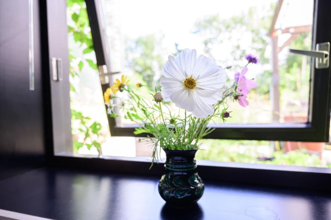 Marrum Het Lage Noorden B&B 외부 사진